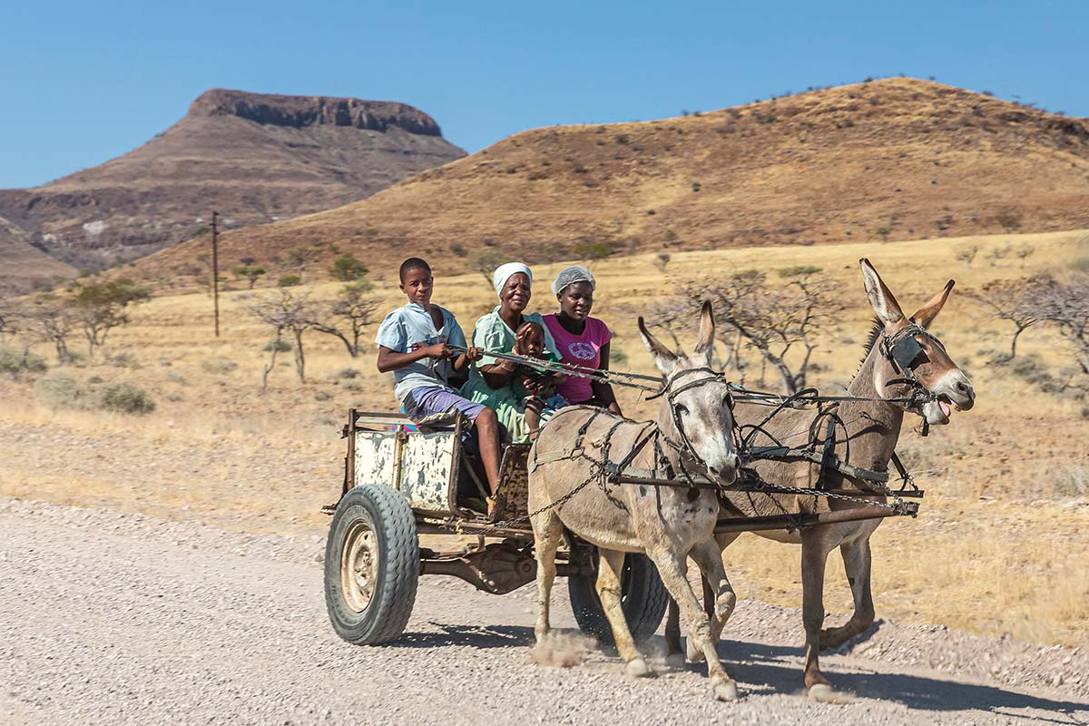 Eselskarren in Namibia ©Susanne und Peter Scheufler