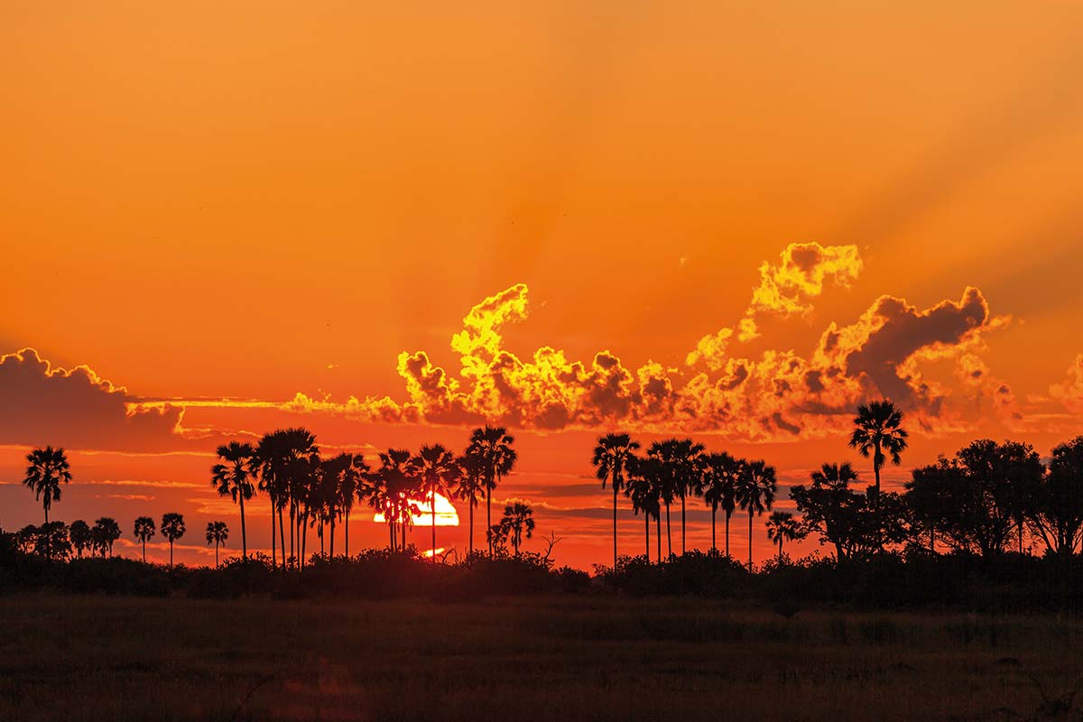 Sonnenuntergang in Botswana ©Susanne und Peter Scheufler