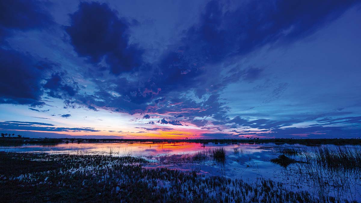 Wasserfläche in Botswana ©Susanne und Peter Scheufler